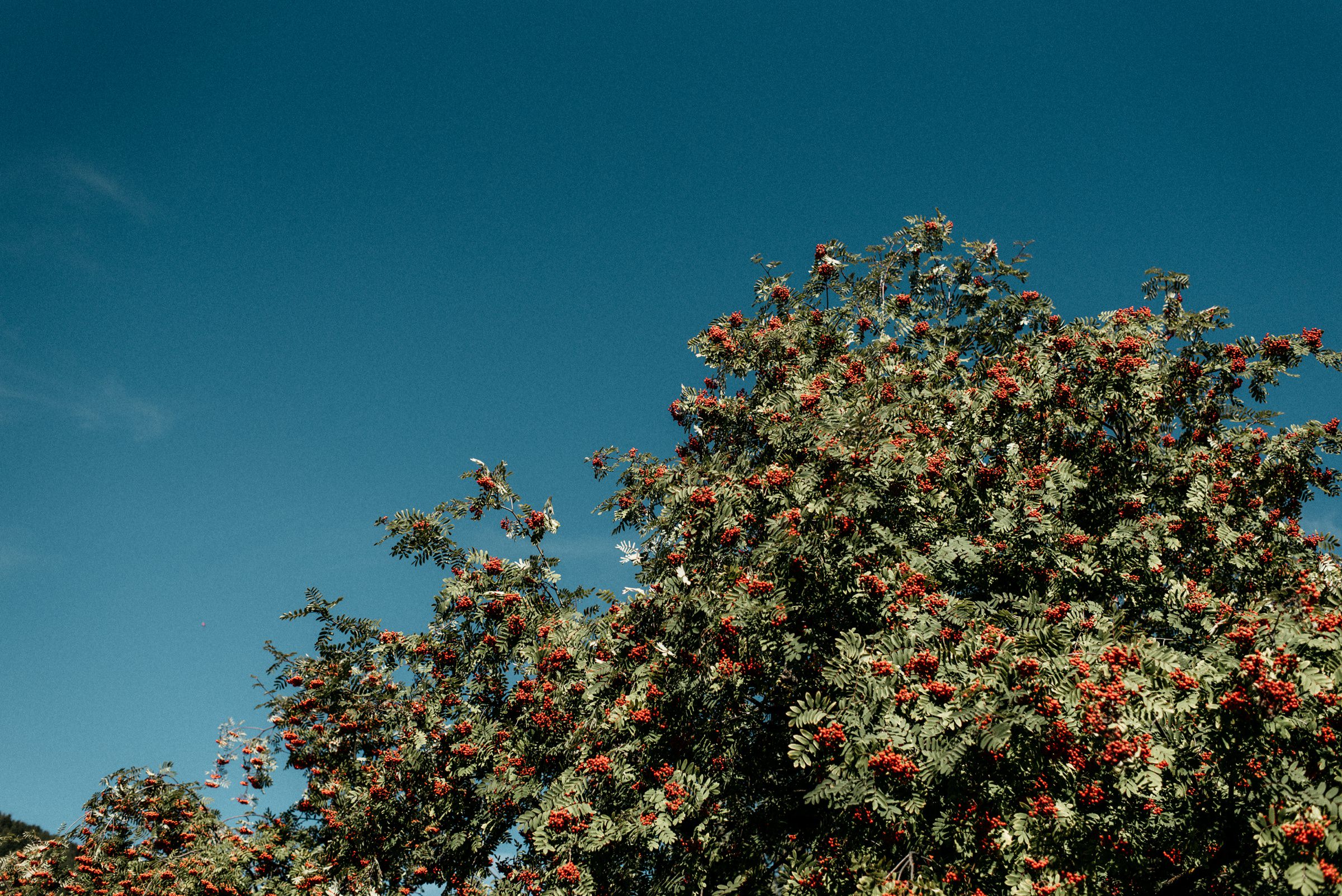  Hochzeitsfotograf Konstanz Bodensee Hochzeitsreportage